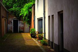 Straatje van Ronald van Tol