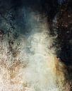 ABSTRACT AUTUMN by Pia Schneider thumbnail