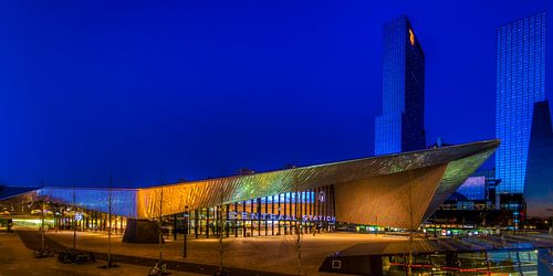 Rotterdam Central Station  by Evert Buitendijk