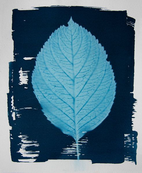 Veins by Greetje Heemskerk