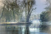 Kalter Wintermorgen