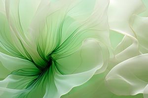 Danse des fleurs
