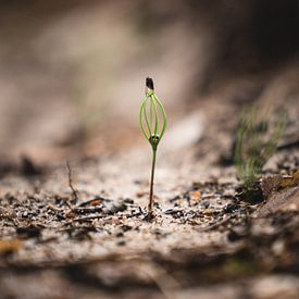 Die neue Generation von Jakub Wencek