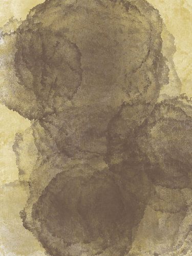 Colour Palette Flexa's True Joy™ V