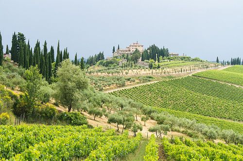 Chianti streek Toscane Italie