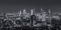 Skyline Rotterdam vanaf de Euromast | Tux Photography - 6 von Tux Photography Miniaturansicht