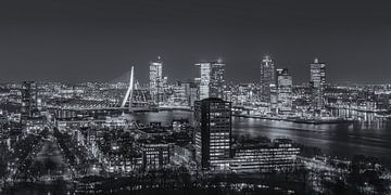 Skyline Rotterdam vanaf de Euromast | Tux Photography - 6 van Tux Photography