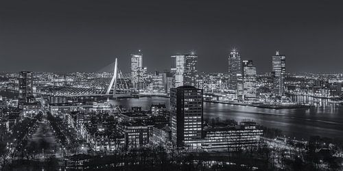 Skyline Rotterdam vanaf de Euromast | Tux Photography - 6 sur Tux Photography