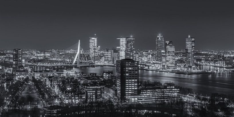 Skyline Rotterdam vanaf de Euromast | Tux Photography - 6 von Tux Photography