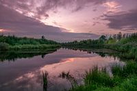purple sky