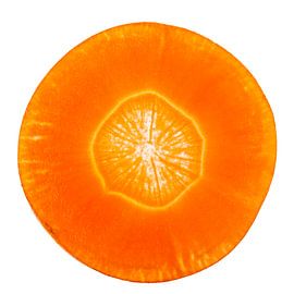 Wortel Oranje Doorsnede by Krijn Westerburgen
