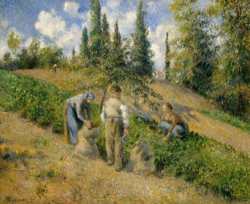 De oogst, Pontoise (La Récolte, Pontoise), Camille Pissarro