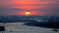 Ondergaande zon boven Rotterdamse havens