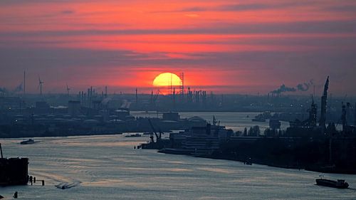 Ondergaande zon boven Rotterdamse havens