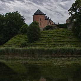Het kasteel van Gaasbeek van Tuur Wouters