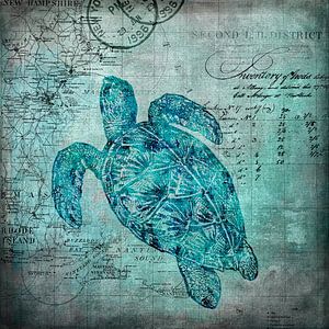 Turtle Underwater World sur Andrea Haase