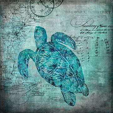 Schildpadden Onderwaterwereld van Andrea Haase