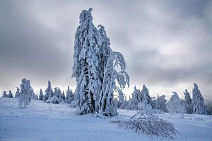 Kahler Asten, Sauerland, Deutschland