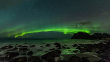 Aurora Borealis - Northern Lights on the Lofoten Islands by Dieter Meyrl