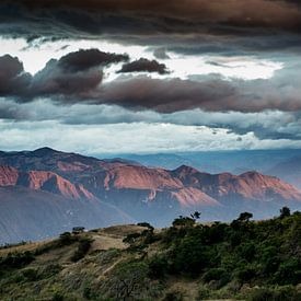 Asuncion von Kevin Van Haesendonck