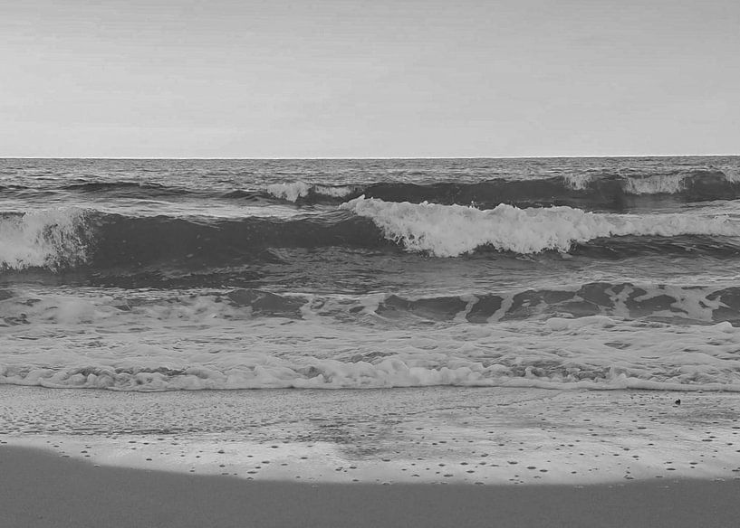 Gewellte Küste von Niek Traas