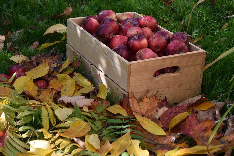 Die Herbsternte im Garten von Claude Laprise