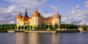 Schloß Moritzburg von Walter G. Allgöwer