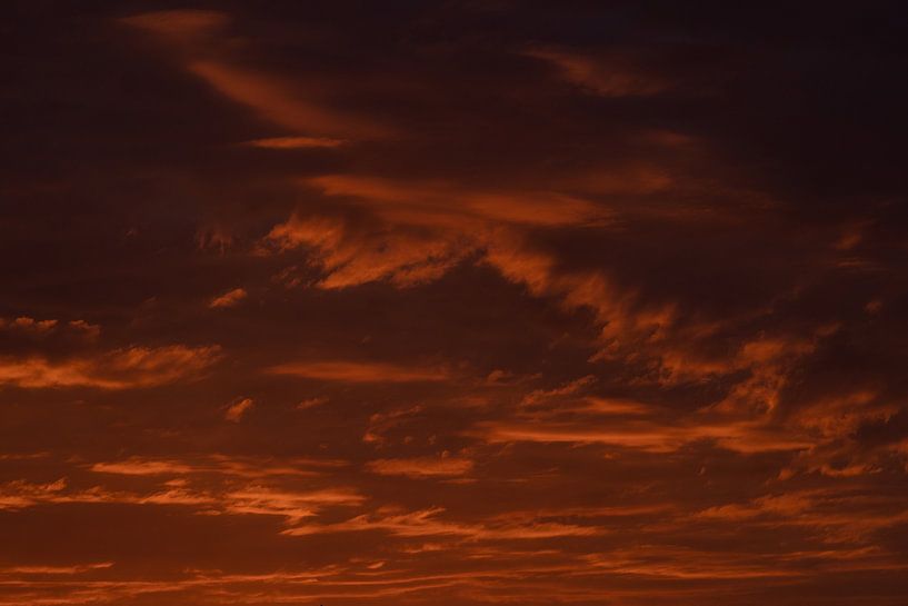 avondzon van Maaike Krimpenfort