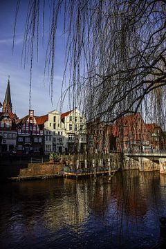 Lüneburg, Am Stintmarkt