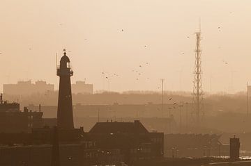 Phare sur Sander Strijdhorst