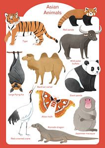 Tiere Asiens von Judith Loske
