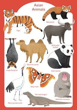 Animals of Asia by Judith Loske