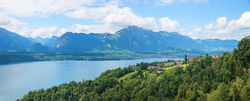 meerzicht vanuit toeristenoord Sigriswil, Thunersee en Berner A