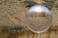 Glaskugel am Strand von Steffi Flei Miniaturansicht