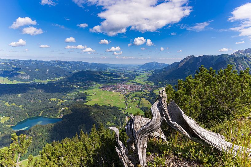 Panorama from the Himmelschrofen by Walter G. Allgöwer