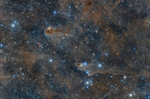 A shark and a lone swimmer in space