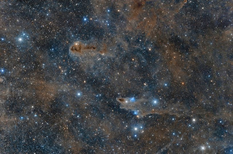 A shark and a lone swimmer in space by André van der Hoeven