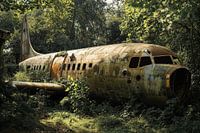 Old plane hidden among the trees