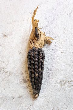 Mexicaanse zoete mais zwart I Food Fotografie van Lizzy Komen