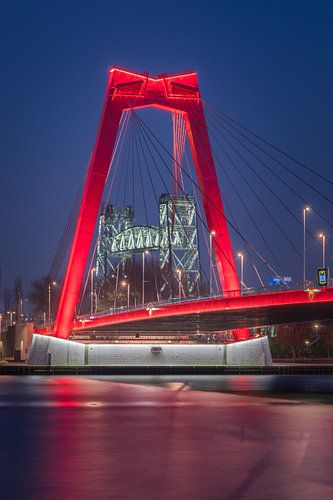 Rotterdam_Willemsbrug bei Nacht