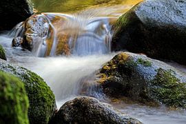 Bach im Bayerischen Lauf von Borg Enders