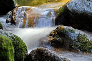 Le ruisseau dans la course bavaroise sur Borg Enders