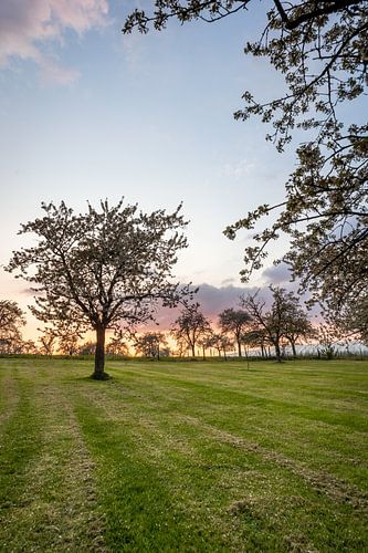 Lentelandschap net na zonsondergang