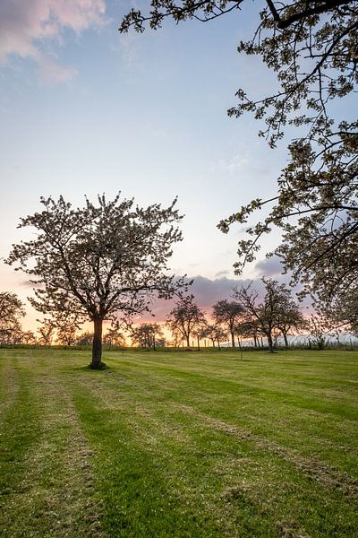 Spring landscape just after sunset by Pieterpb