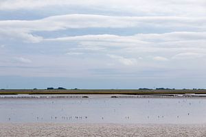 Coast line.. by Miranda van Hulst