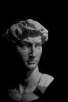 Le David de Michel-Ange : un chef-d'œuvre iconique en noir et blanc