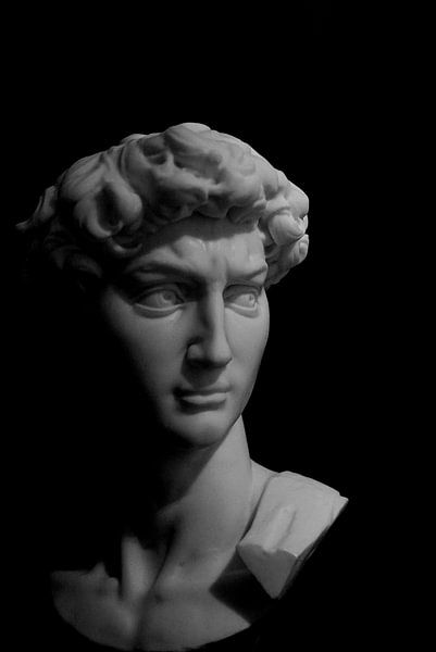 Le David de Michel-Ange : un chef-d'œuvre iconique en noir et blanc par I love you David