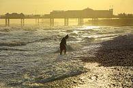 Pier Brighton van Patrick Lohmüller thumbnail