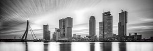 Skyline von Rotterdam mit der Spitze des Südens von eric van der eijk