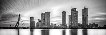 Rotterdam skyline with the head of south